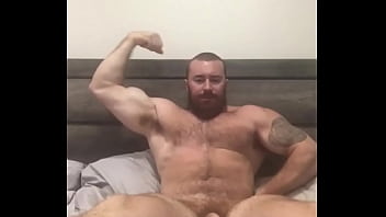 alpha bull hung