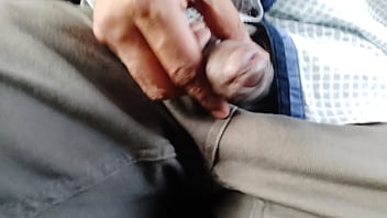 tuching dick bus