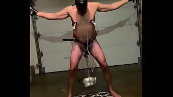 predicament bondage husbands balls