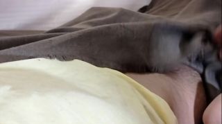 village first time hanimoon sex