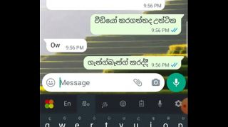 srilankan hotmam and san sex video