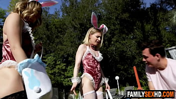 any bunny sister