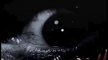 vintage brutal anal
